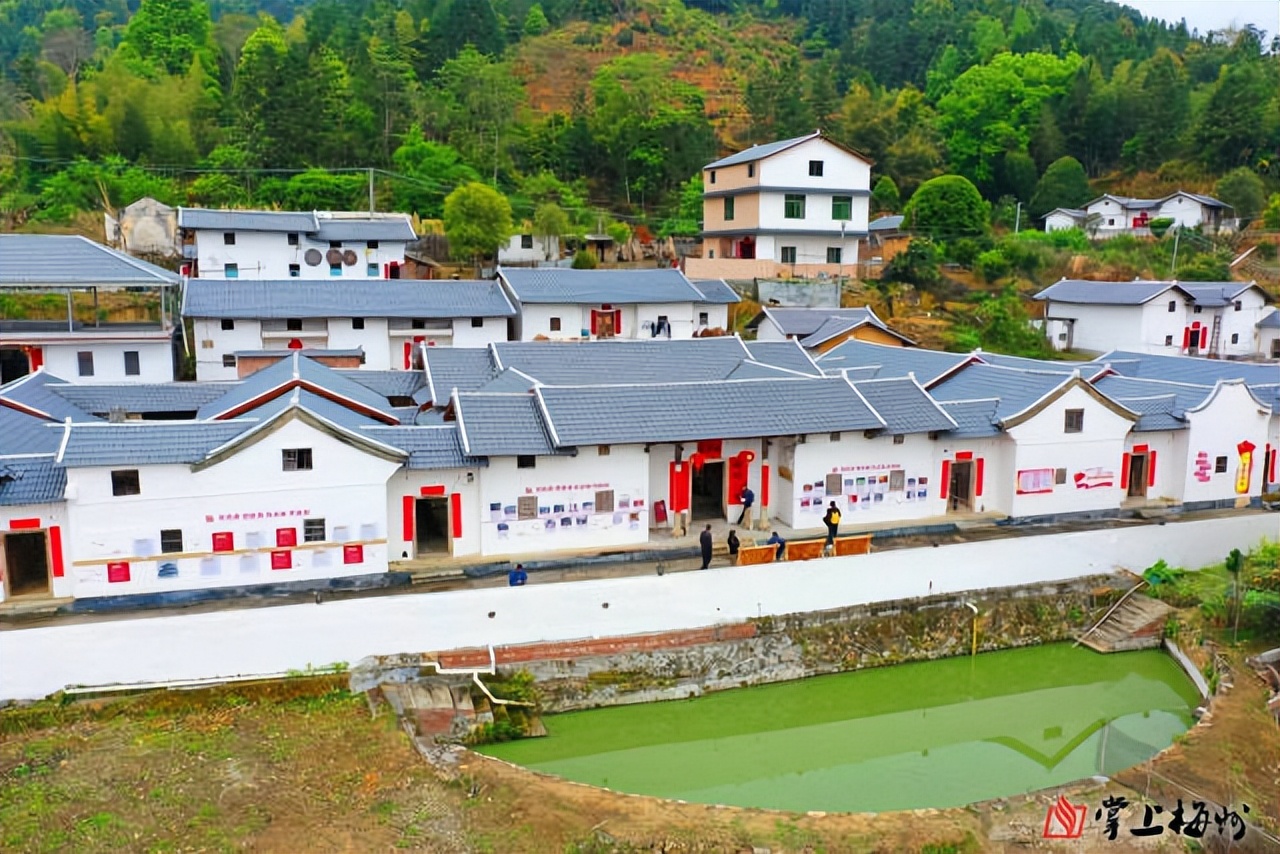 八尺镇排下村：弘扬东江源文化，做活“水文章”|平远“兴”村③