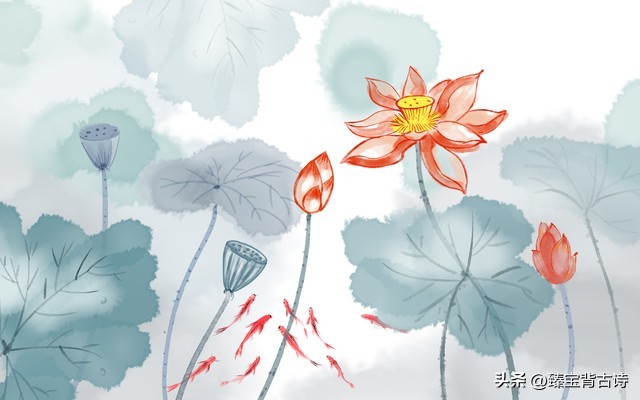 百首夏天绝美诗词荷花,映日荷花别样红赞美荷花的诗句