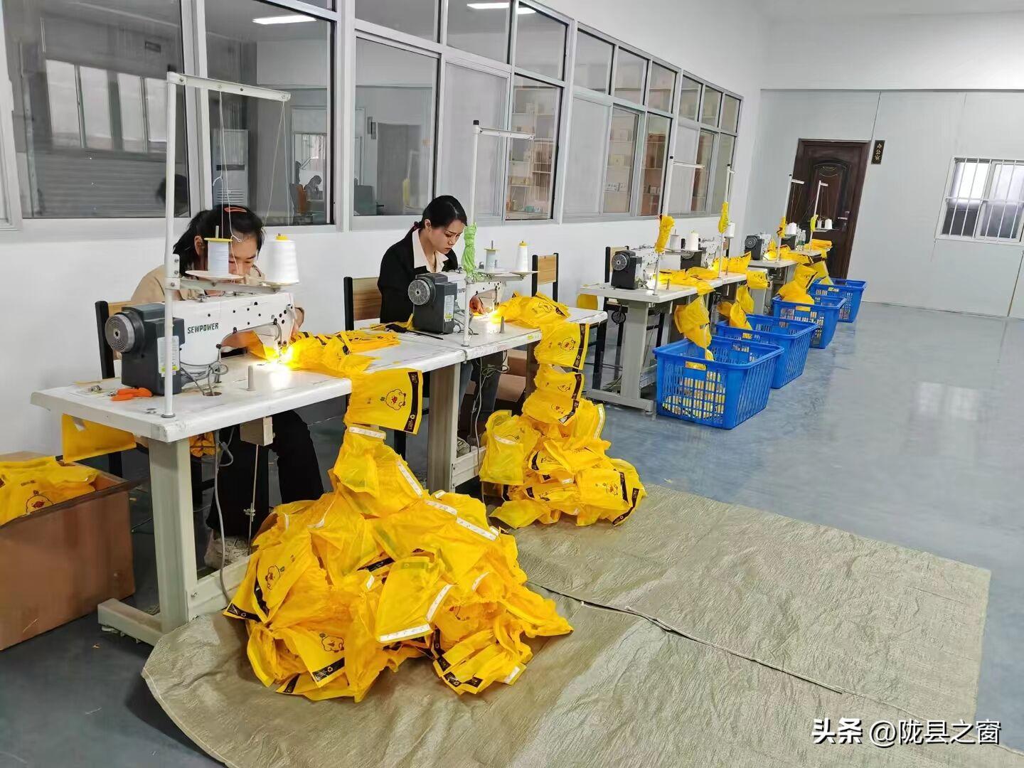 喜讯！陇县曹家湾镇绿小涂生产线加工项目落地投产