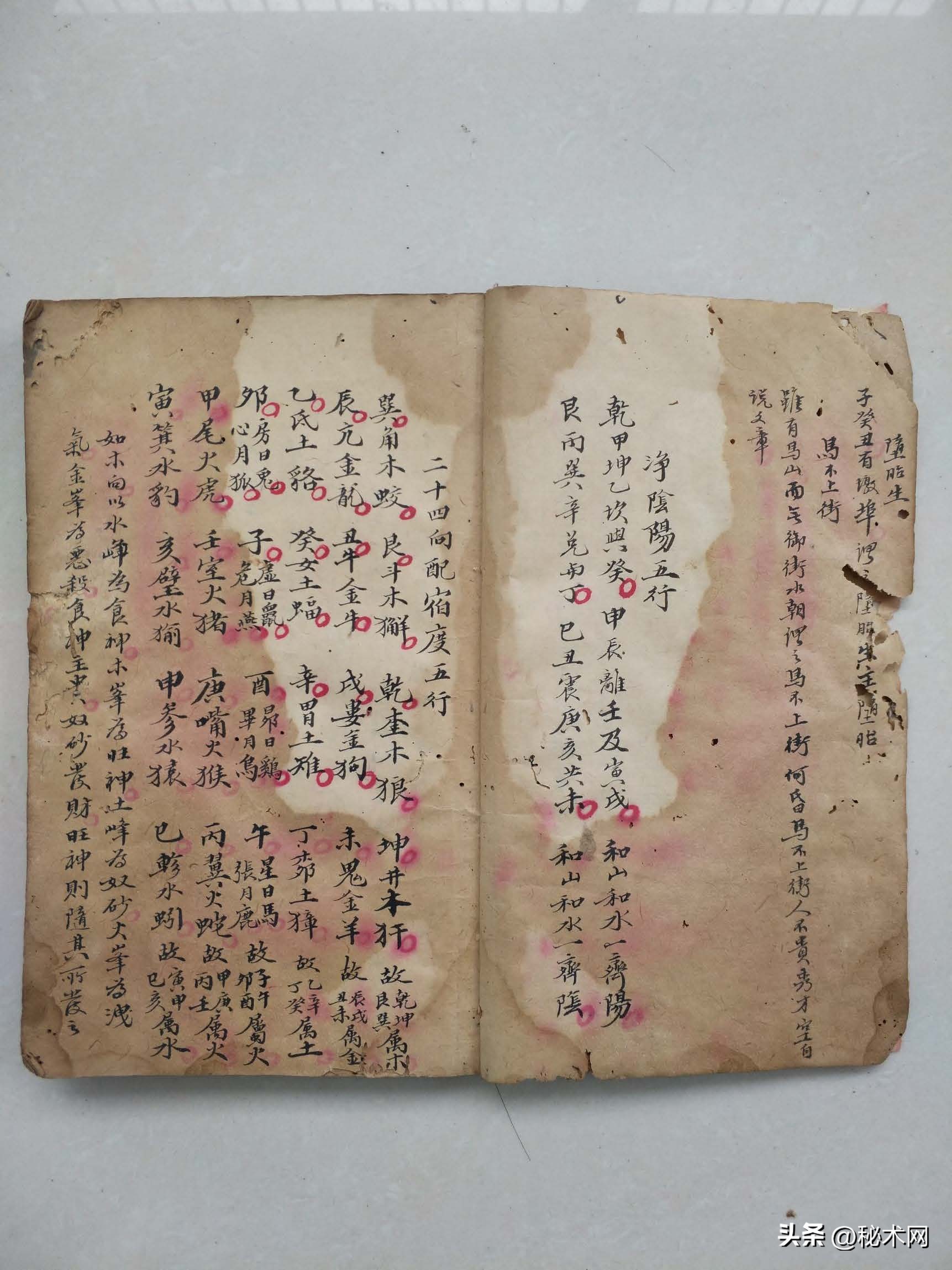 杨公地理真传秘诀视频,杨公地理真传秘诀书