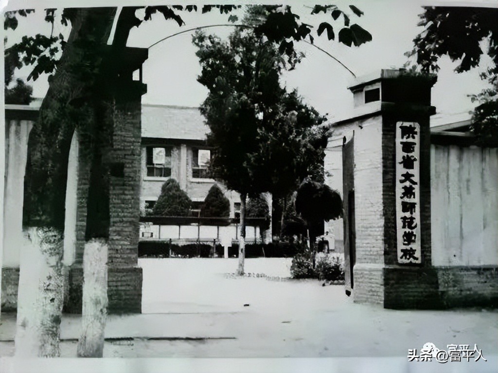 刘媛玲|额角上的疤痕