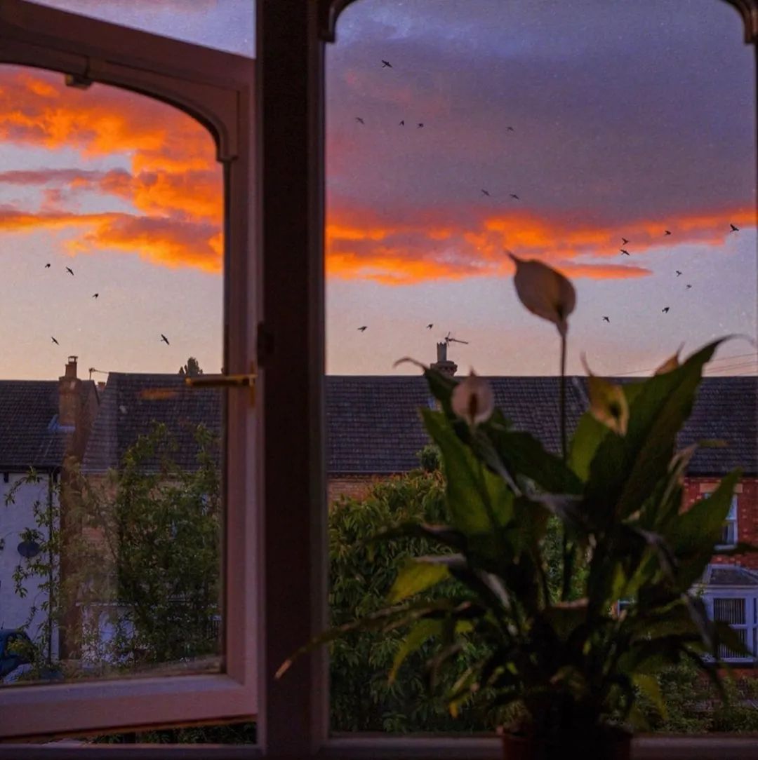 超有感觉的背景图伤感,小众超有感觉的背景图