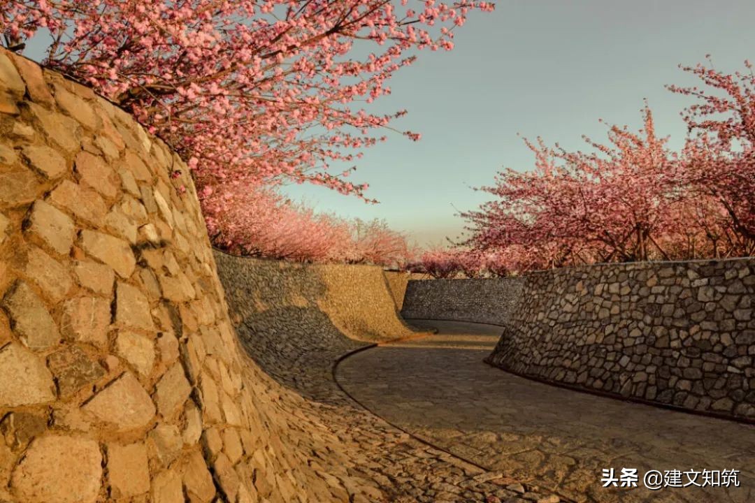 waf2023世锦赛,waf国内排名