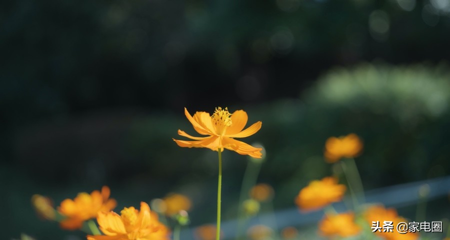 家电智能产品消费券,消费券美的家电团购