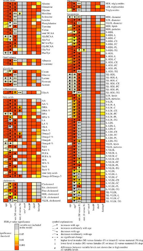 宠物狗容易出现的几种病况,宠物狗最容易得什么疾病