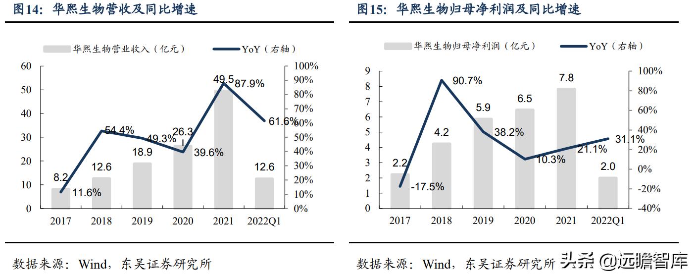 2023医美一季度业绩,q1财报逆势增长