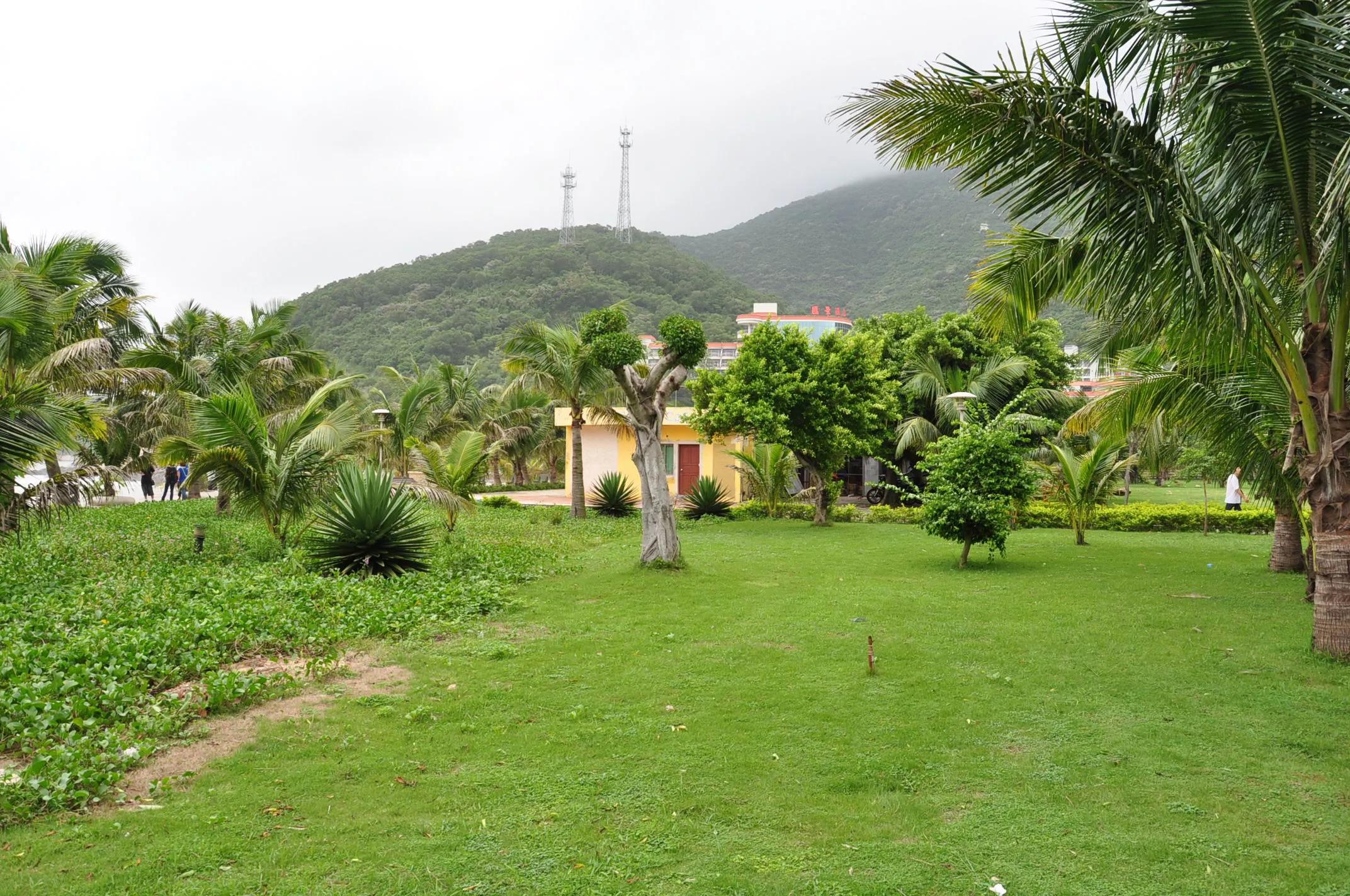 台山下川岛天气,台山下川岛旅游景区