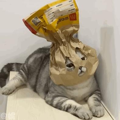 憋屎憋尿的四大名场面！华西医生问，你中招了吗？