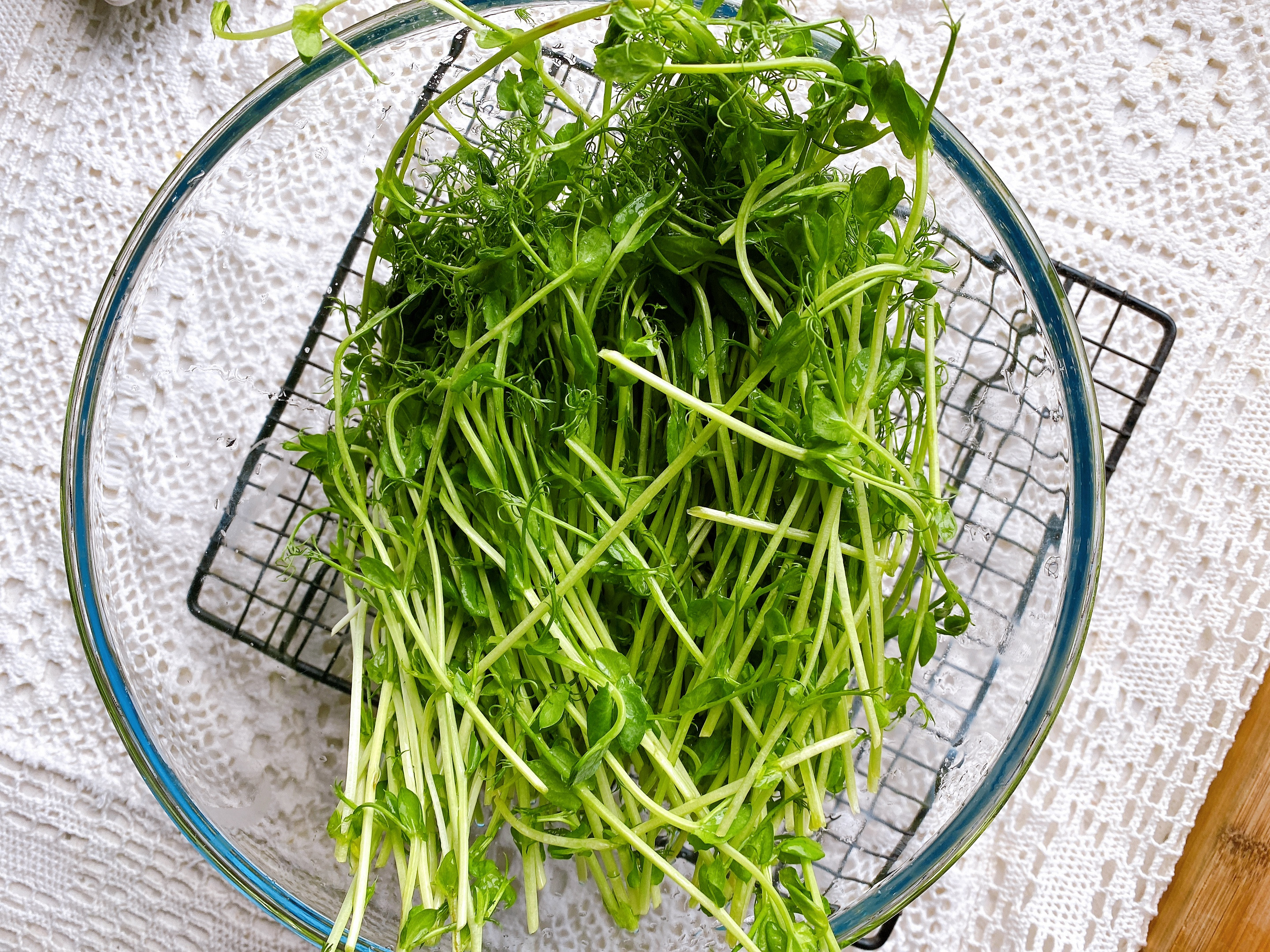 春天第一鲜芽菜是什么菜,春吃芽指的是什么