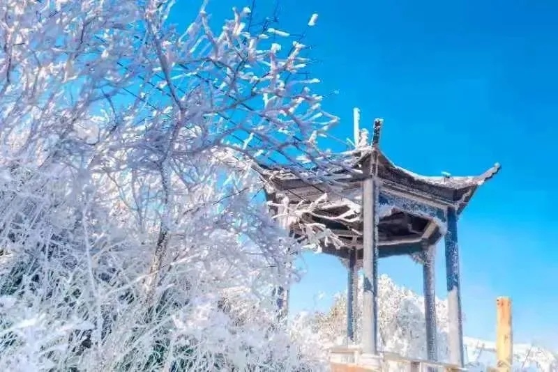 2021连州金子山雾凇观赏时间,广州金子山雾凇