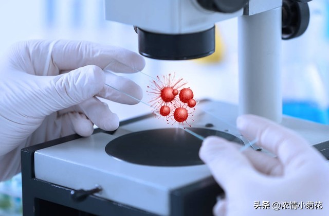 突破性医学技术：利用基因编辑治愈癌症！