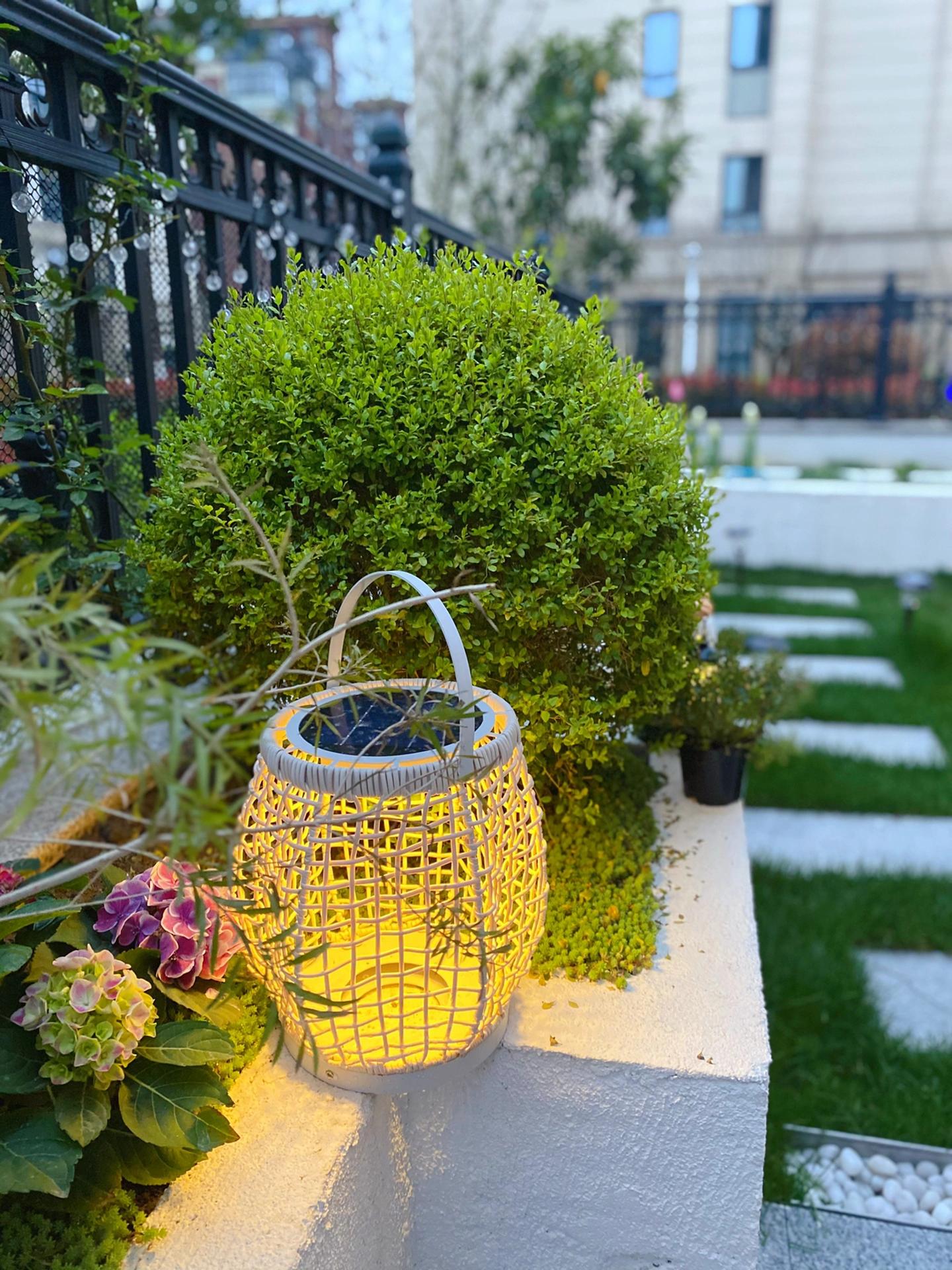 一楼小院简易小花园,100平米小院简单改造图