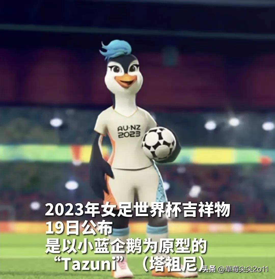 2023年女足世界杯吉祥物来了！吉祥物是只企鹅，名叫塔祖尼的企鹅