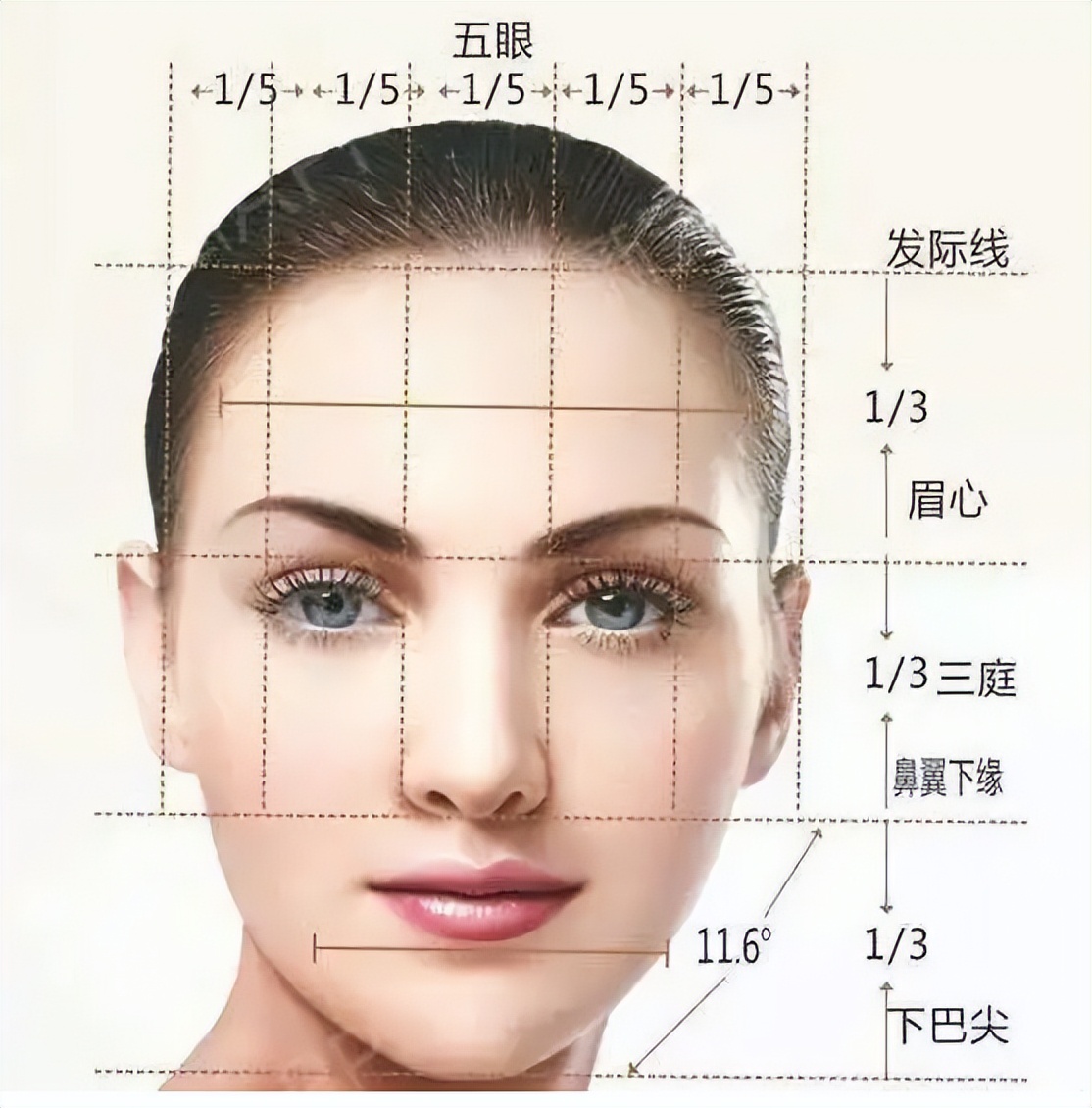 太阳眼镜怎么选择适合自己的脸型,椭圆形狭长近视眼镜适合什么脸型