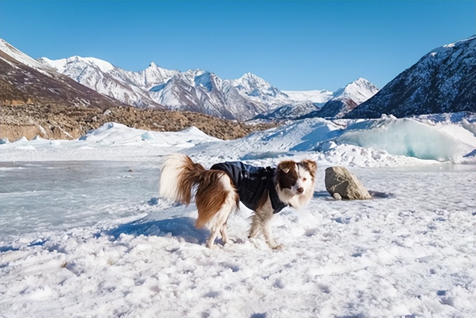 索尼xperiapro-i拍照排行,三星s21ultra与索尼xperiapro