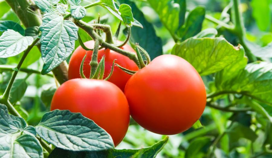 缺钾老年人早餐吃什么好,老人缺钾吃什么营养品好