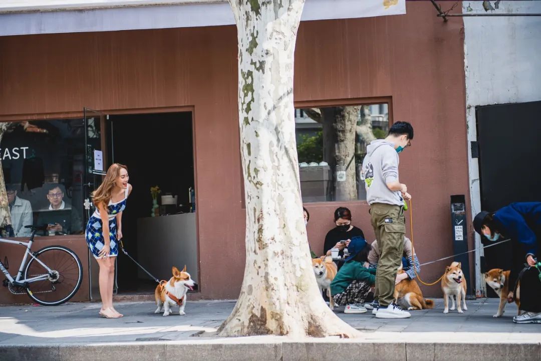 魔都宠物天地,魔都周边宠物友好景区