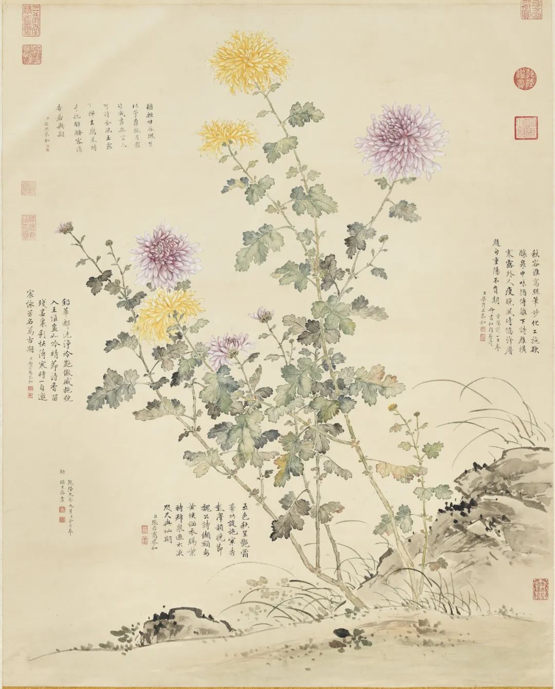 慕容看世界的视频,慕容看世界所有视频