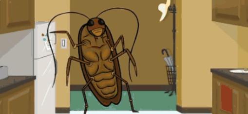 自制消灭蟑螂蚂蚁蚊子的小妙招,生活小妙招香蕉皮消灭蟑螂视频