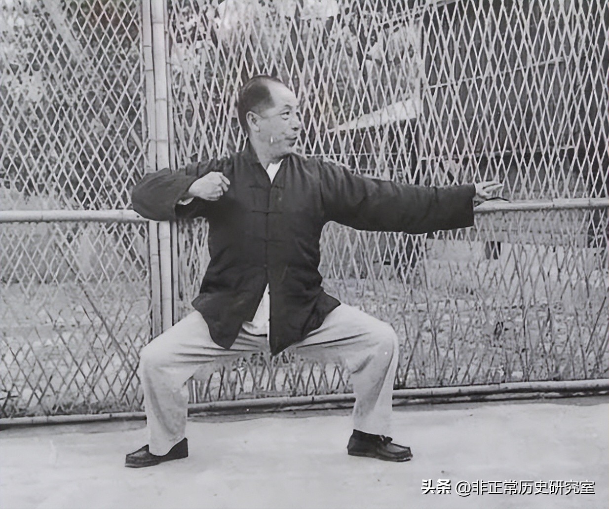 张学良的真实照片及影像,张学良一百张照片再现