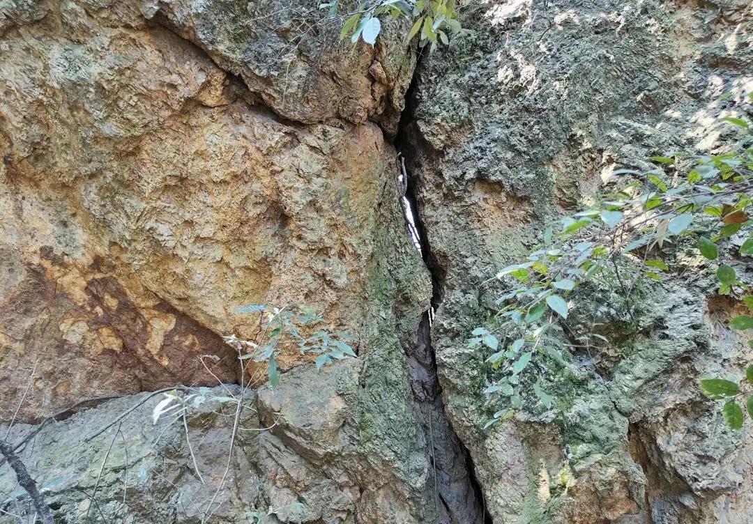 宁乡桃林镇,长沙市道林镇