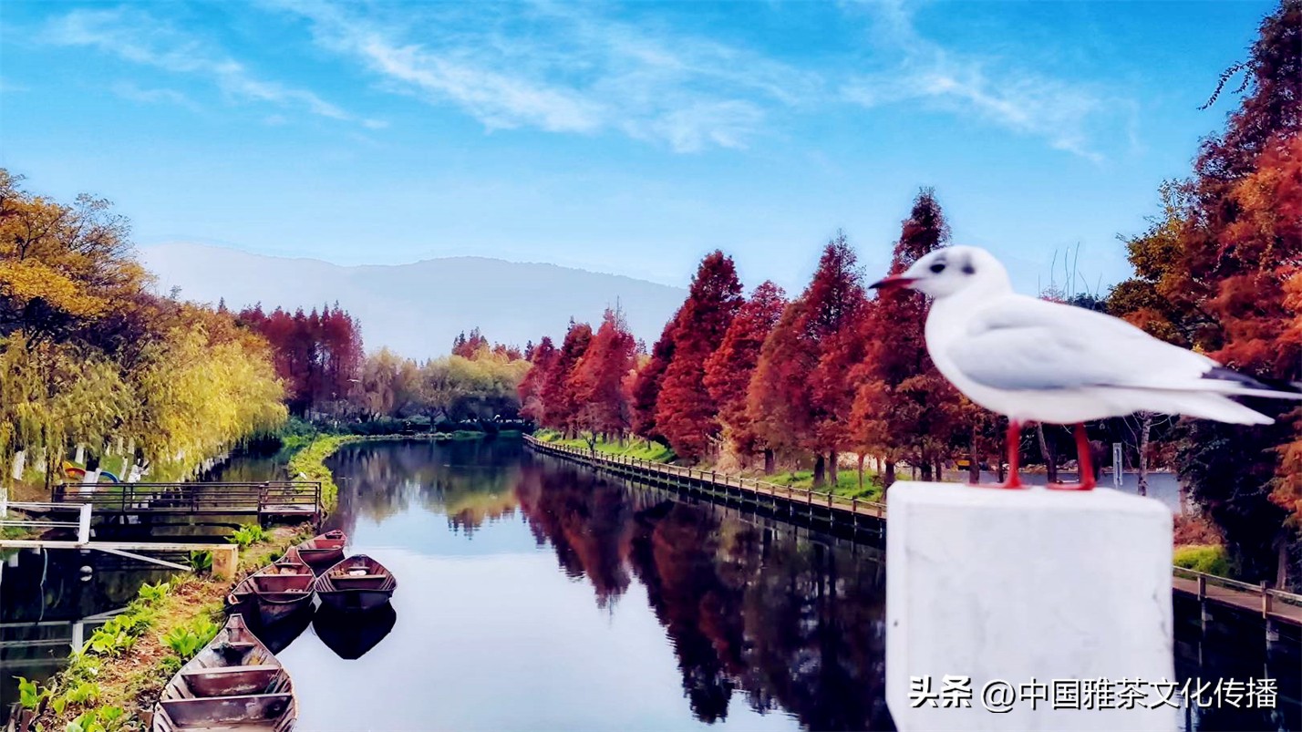 人生在世开心就好做喜欢的事,人生在世开心就好