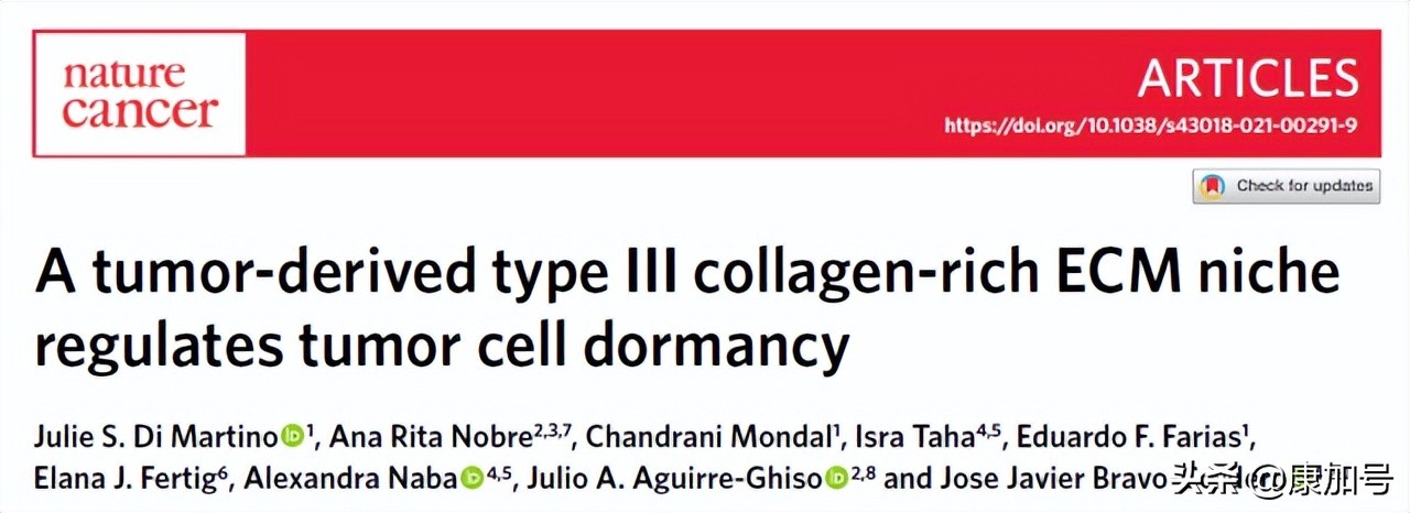 新的突破是什么,新的突破