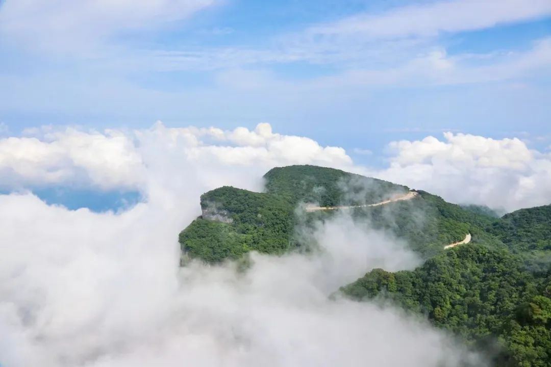 邀您免费畅游,免费领取畅游套餐