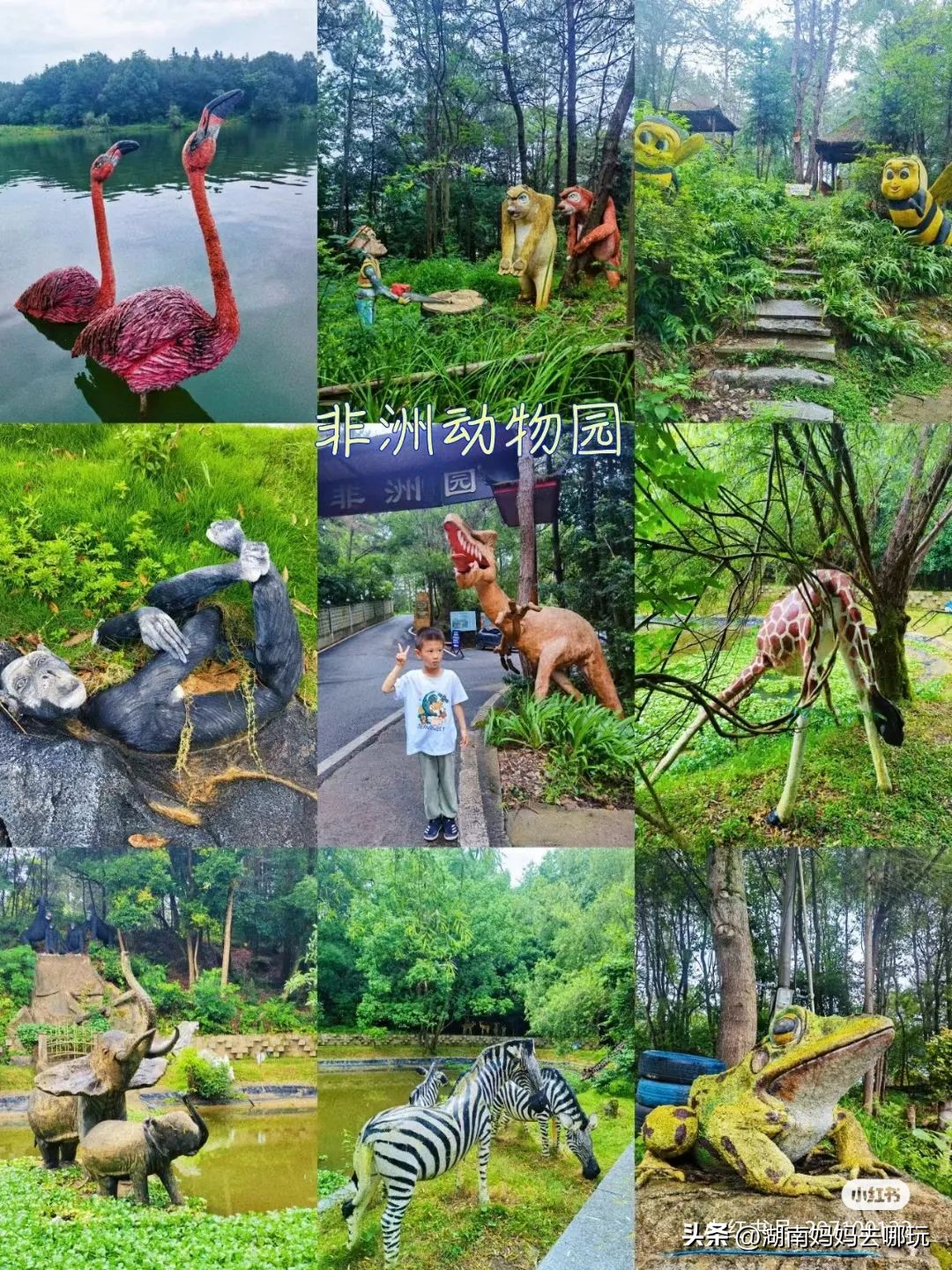 长沙周边乡村美出新花样！非洲“小小国”、网红鱼鳞坝，每一个都超想去