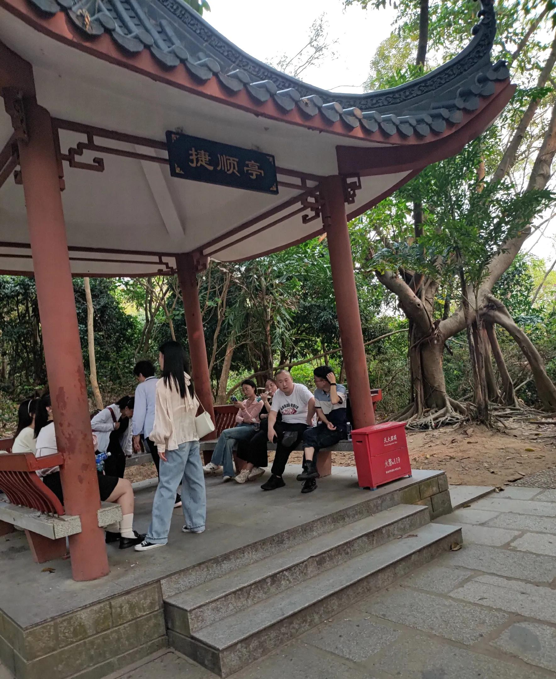 深圳莲花公园旅游攻略,让我带你参观一下公园英文怎么说