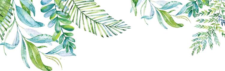 永川仙龙油菜花基地,仙龙油菜花节