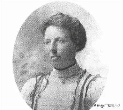 进口奇异果新西兰大果,新西兰奇异果怎么便宜了