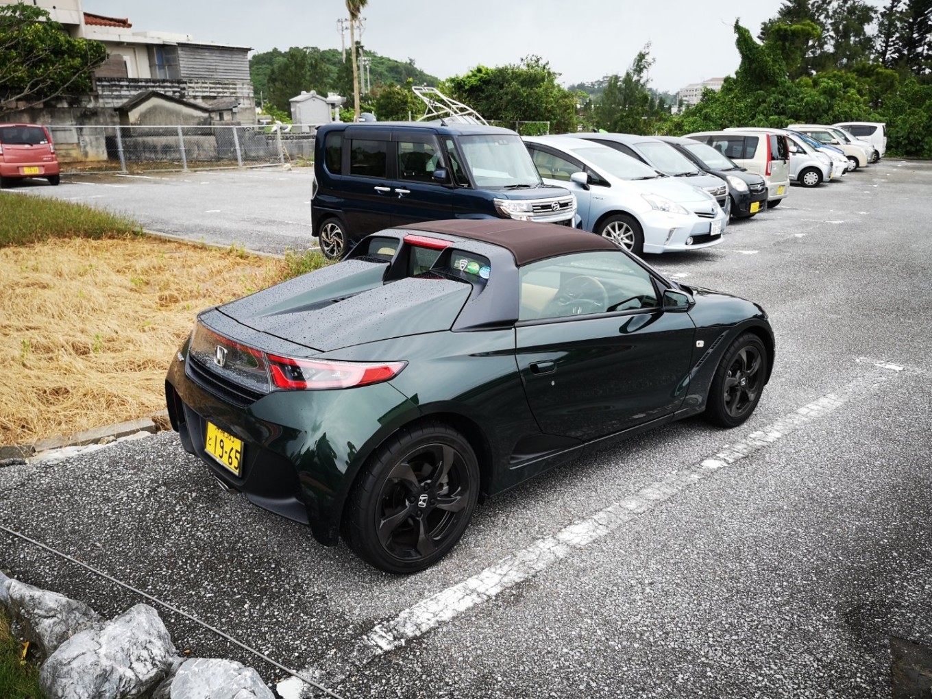 暑期档2019年,2019年暑期档