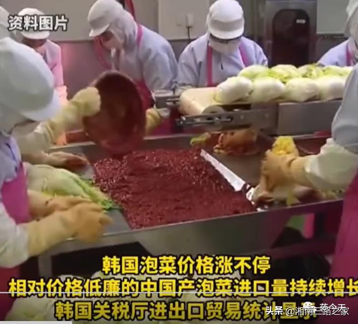 韩国大白菜价飙涨到45元一颗，韩媒：中国产泡菜成救兵