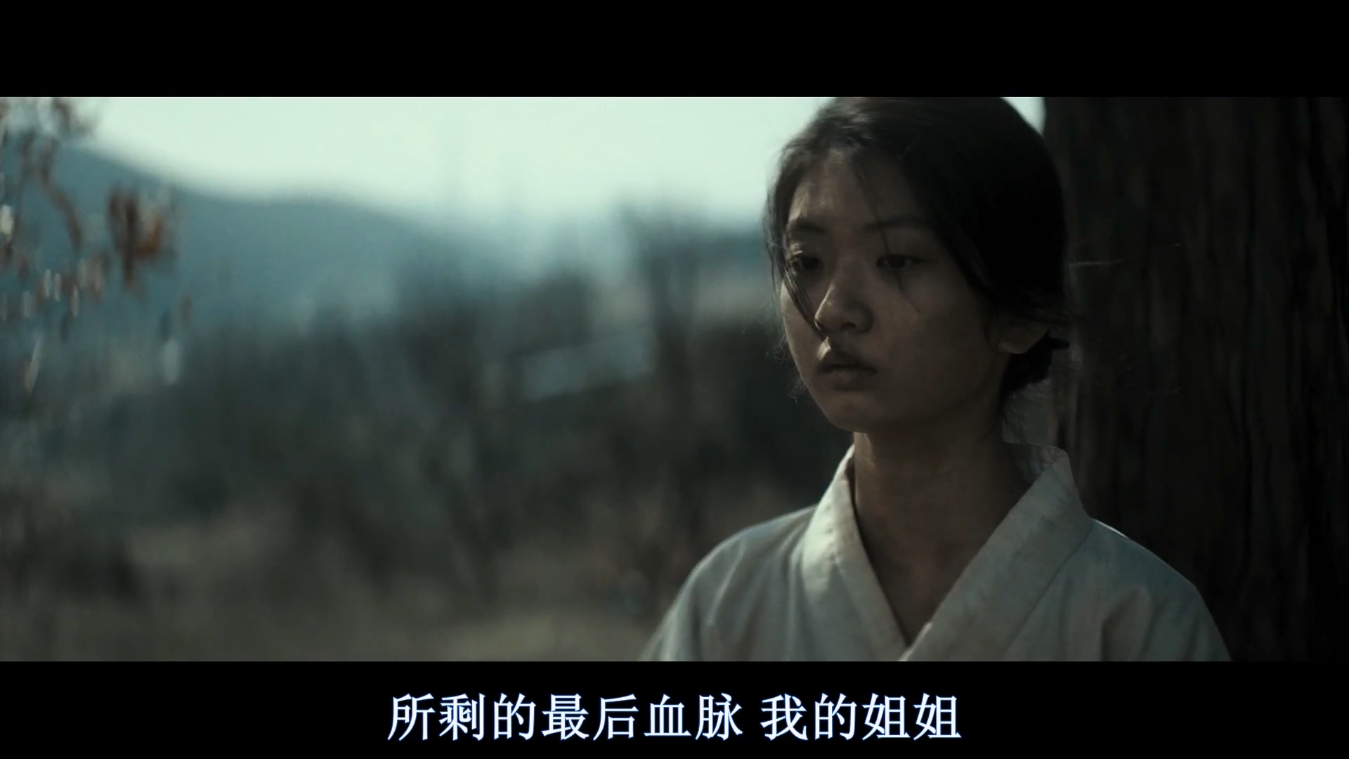 大猛哥讲电影,大猛哥讲电影合集