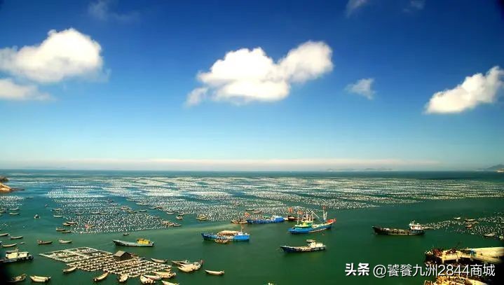 中国海鲜最好吃的城市排名前十,中国哪个城市海鲜最好吃排名