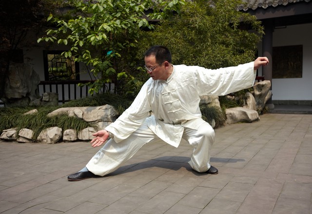 杨氏太极拳的太极步视频,杨氏太极步