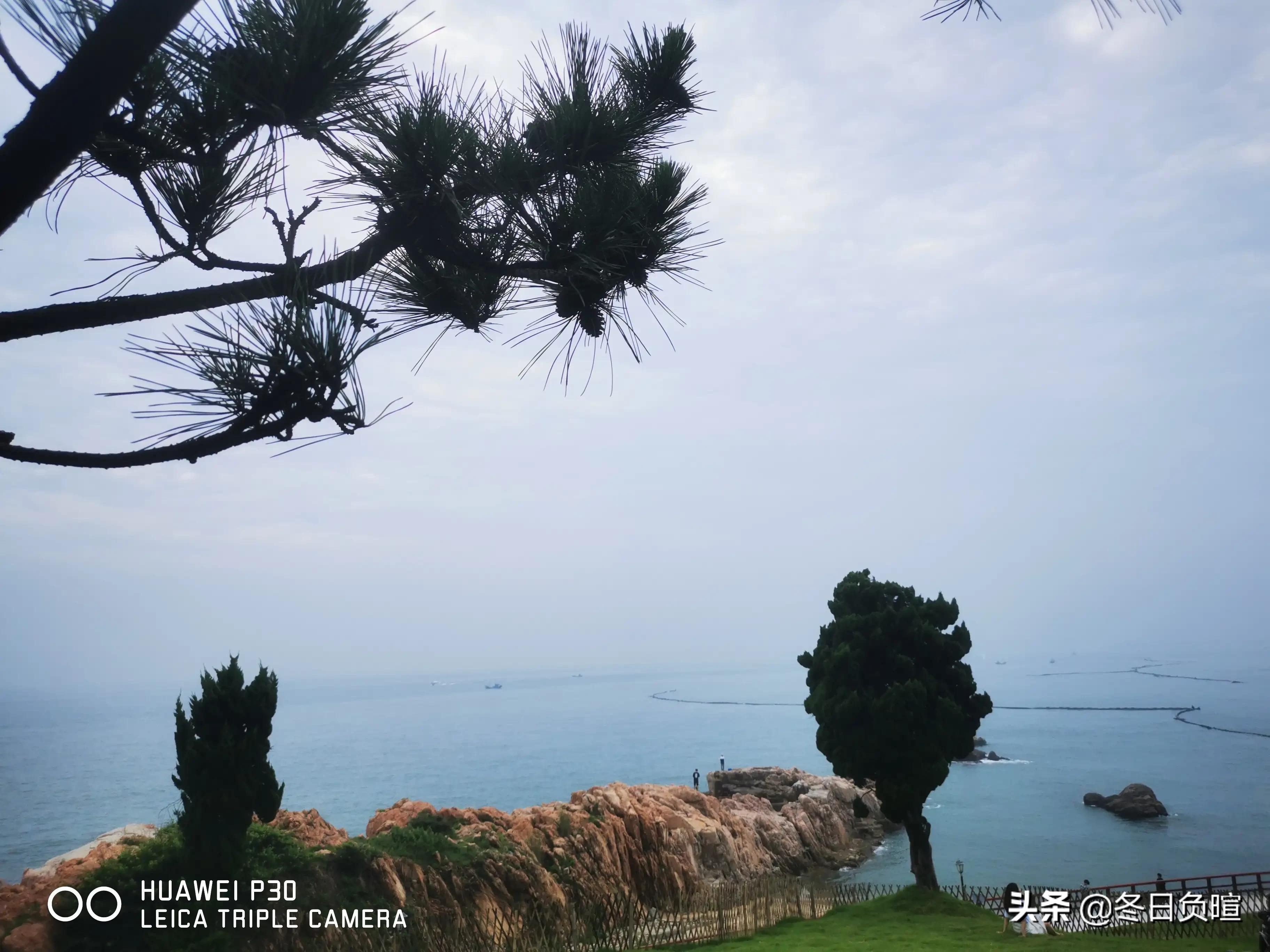 咏兰诗句经典名句,咏兰诗完整版原唱