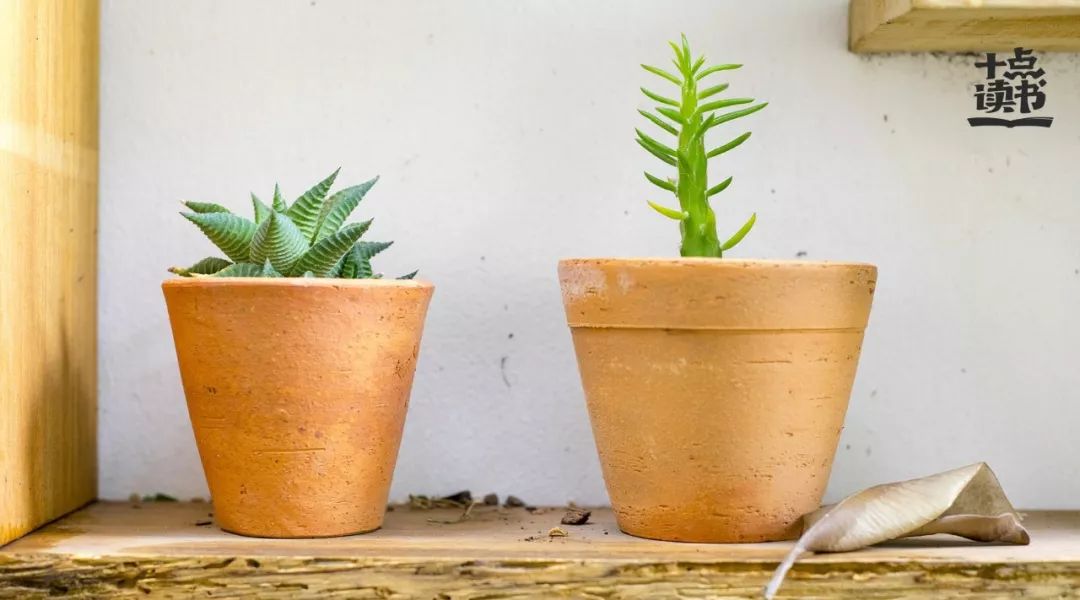 细节告诉了你所有的答案,细节告诉你