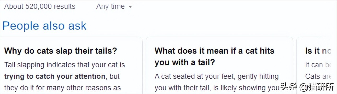为啥猫咪老用尾巴扇我是不耐烦吗,猫咪一直扇尾巴
