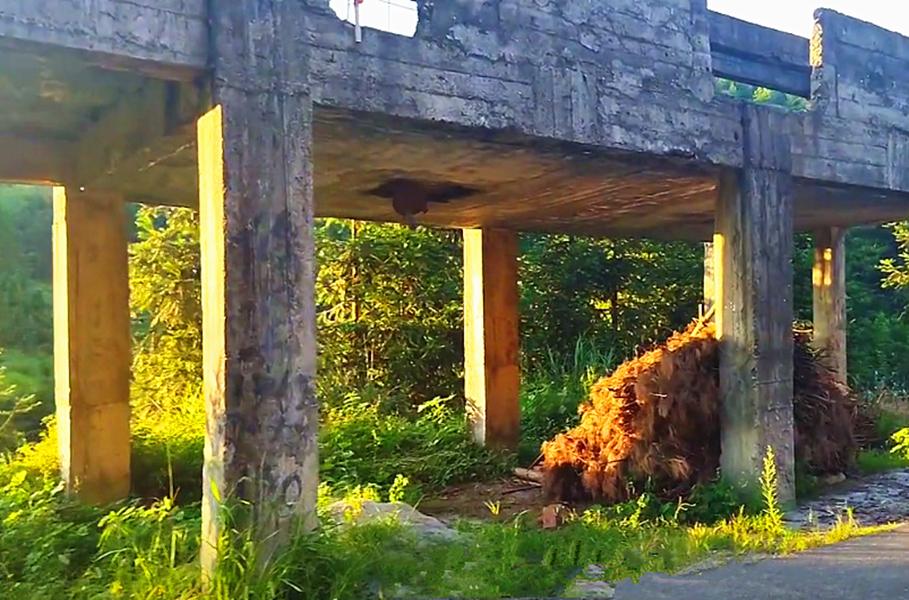 外地老板投资100万建拦河坝每年可赚80万，为何关闭？