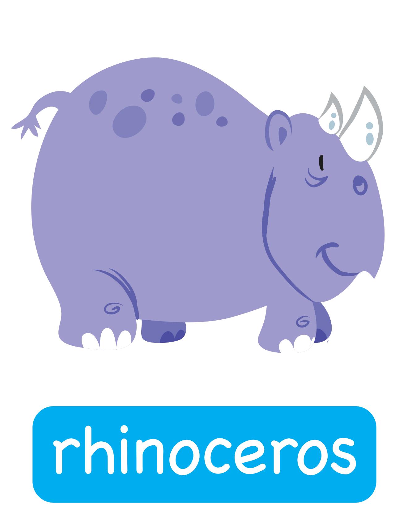 图说英语单词：高清动物类卡片，一图一单词