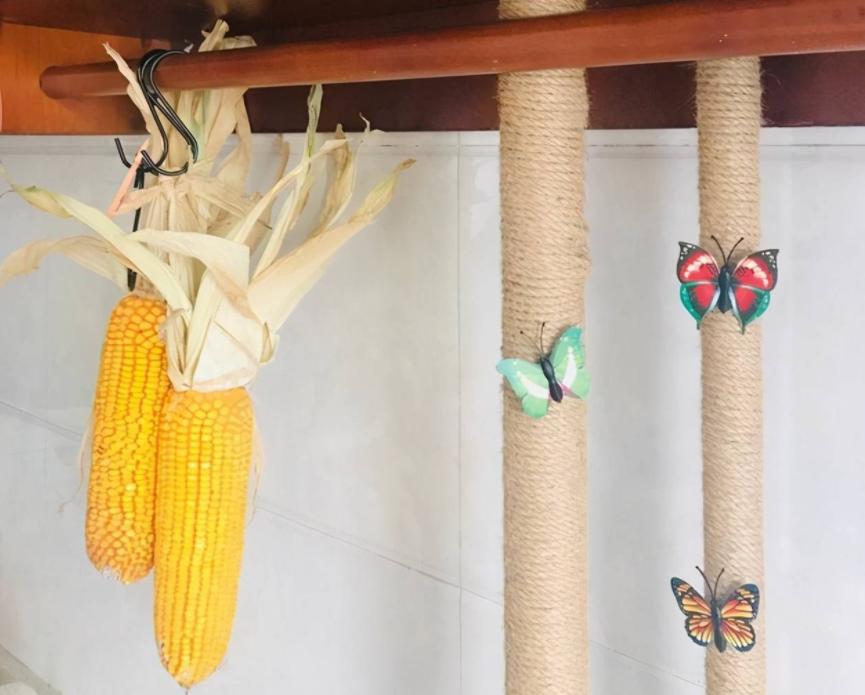 燃气热水器管道外露巧妙装饰,厨房燃气管道外露怎么处理