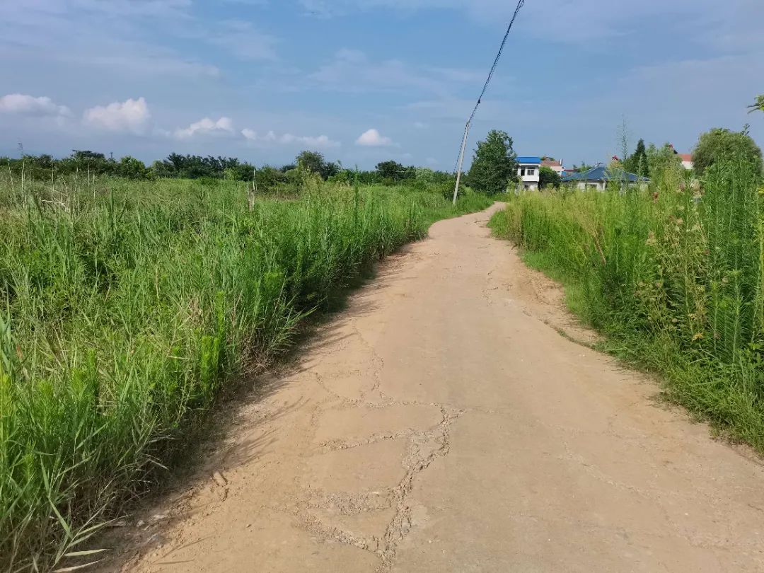 听听审计人的“盛夏果实”