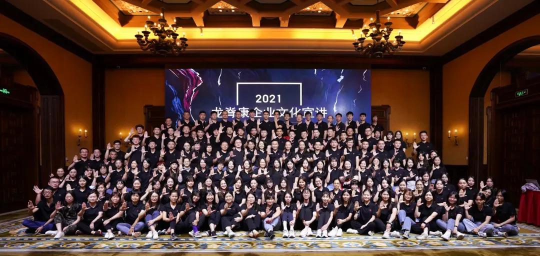 龙脊康到底是不是正规的,龙脊康蝶形可调枕定制记忆枕