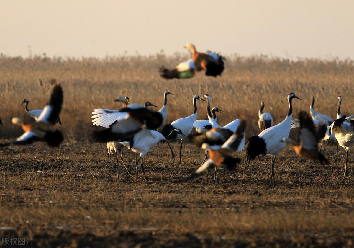 江苏唯一有山的城市,中国海拔最高的风景区