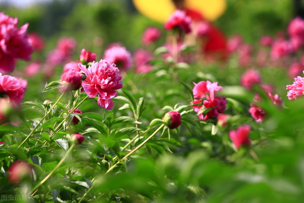 外贸怎么虚心请教客户呢,外贸客户缺乏新意