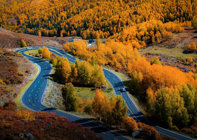 新疆姑娘阿孜古丽,霍城阿依孜古丽