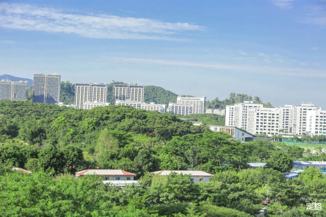 深圳百米长「纯白登山梯」，打卡绝了