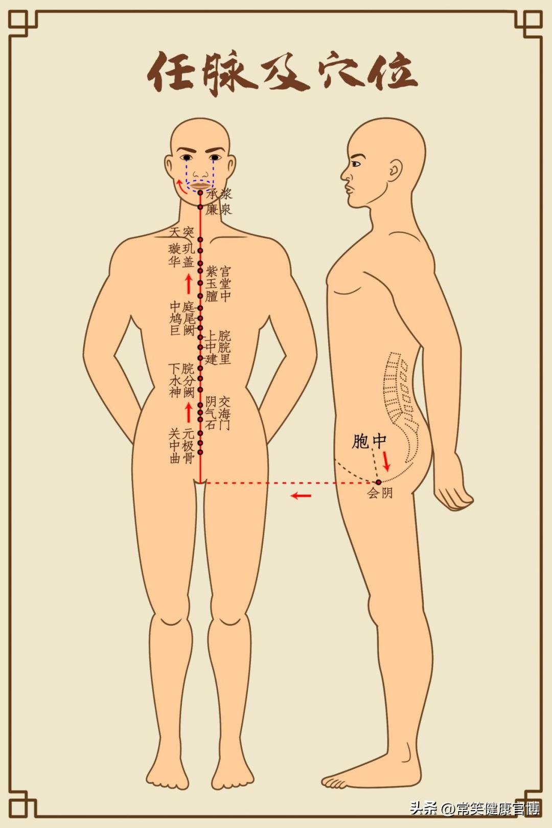 看了《后浪》才知道，端午节必备的艾草，原来一个夏天都这么有用